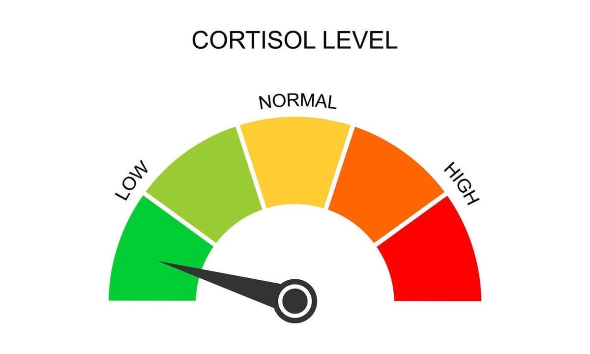 What is Normal Cholesterol Level?